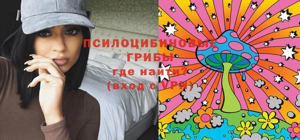 дмт Богородск