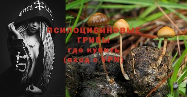 COCAINE Богородицк