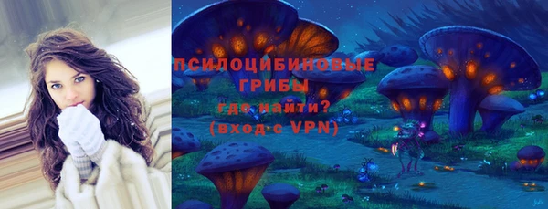 COCAINE Богородицк
